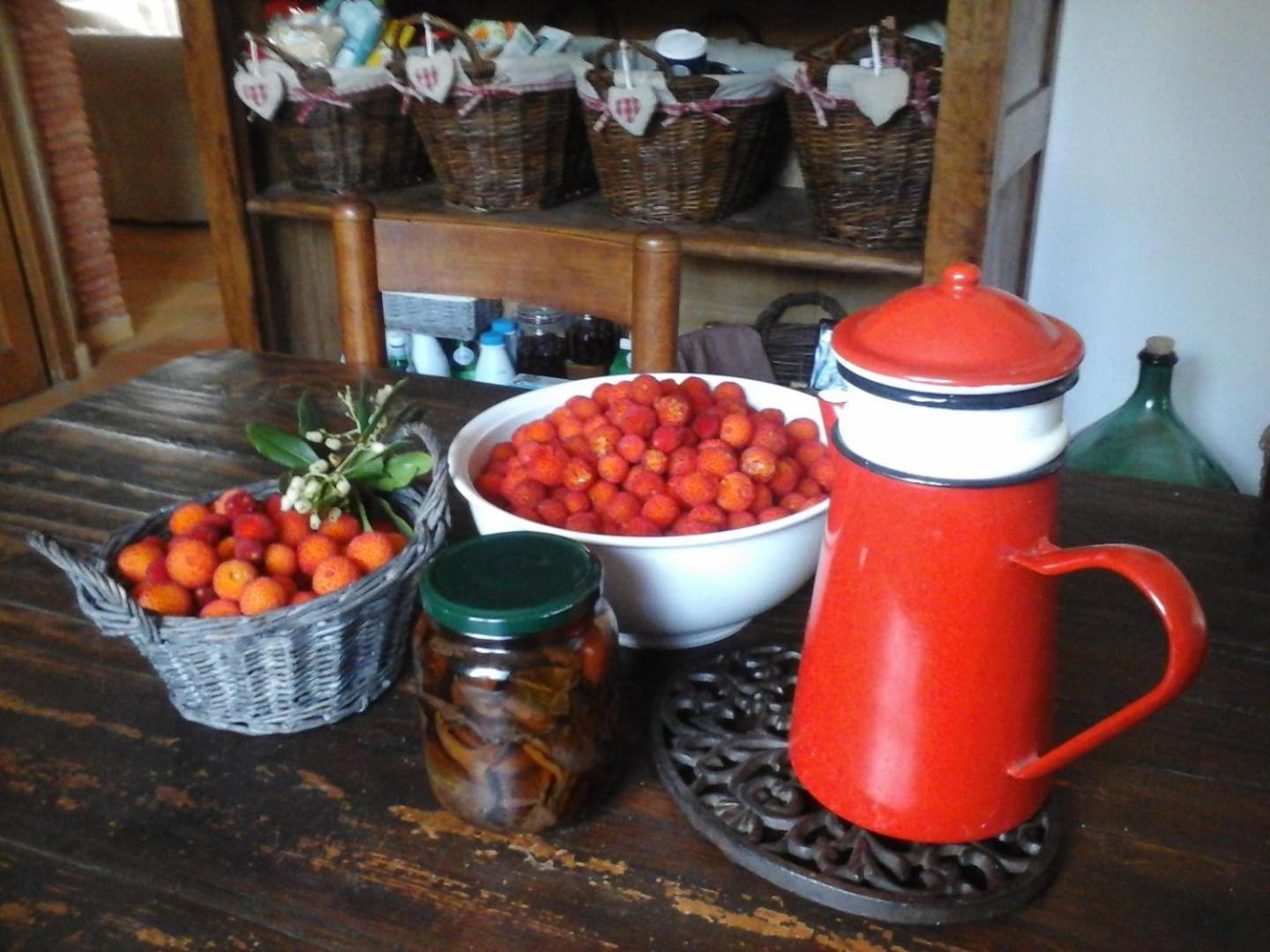 La Maison De Campagne Carcès Екстериор снимка