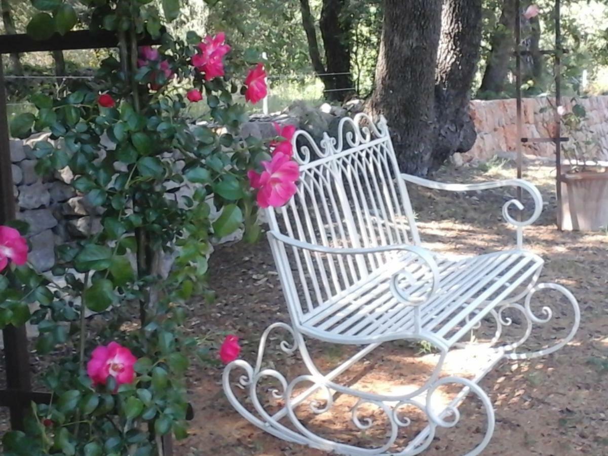 La Maison De Campagne Carcès Екстериор снимка
